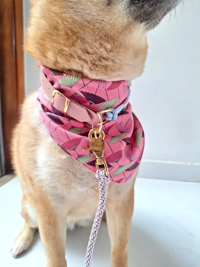 Hikari usando uma peça Hoshiko