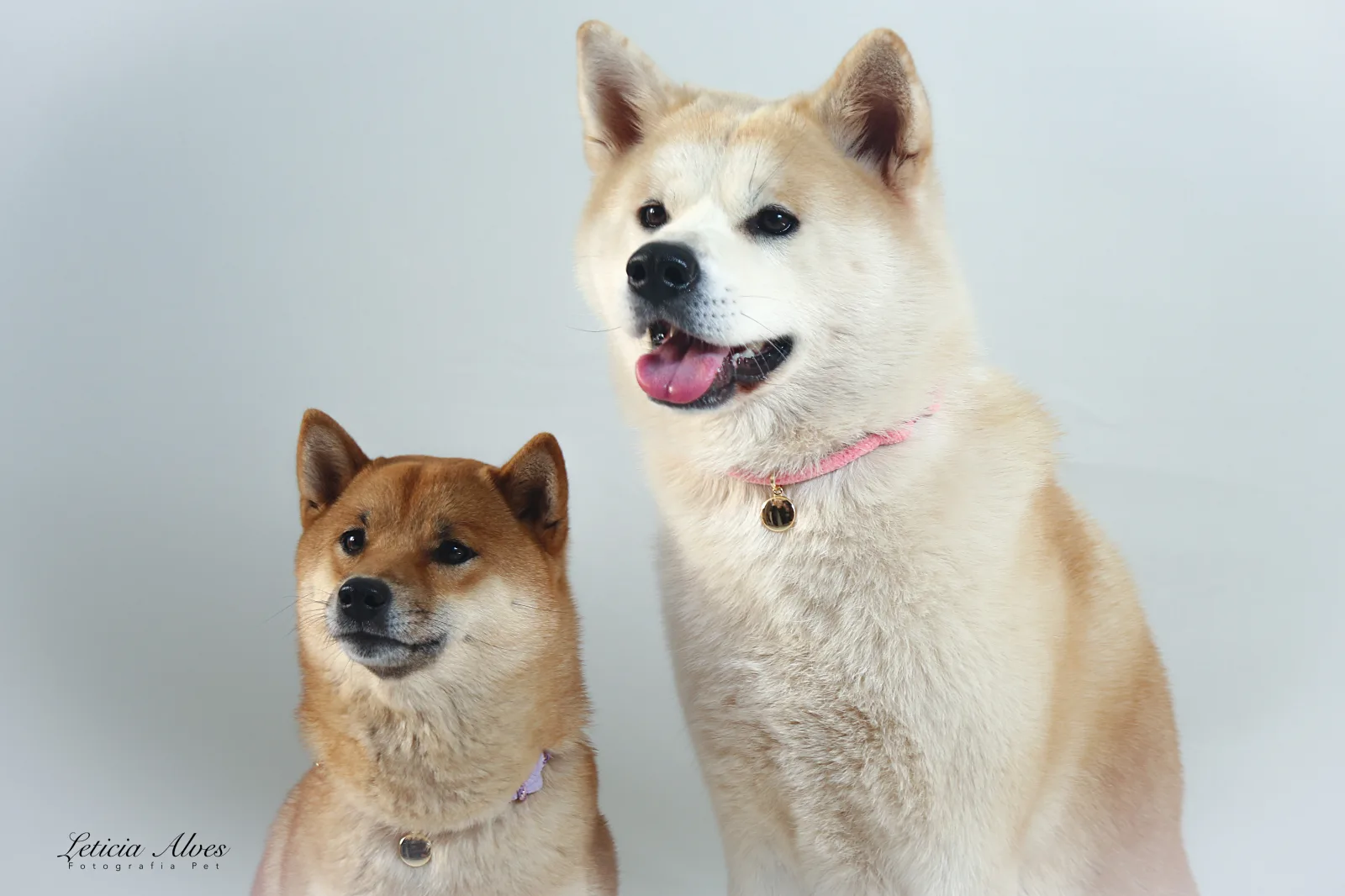 Hikari e Saori juntas em um segundo retrato